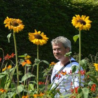 Martin Knol