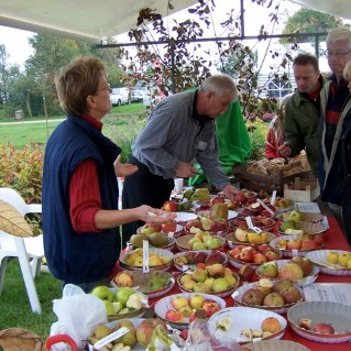 Vrienden van het Oude Fruit