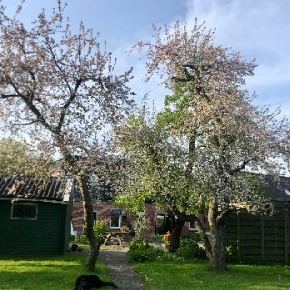 Woonhuis Raadhuisstraat 16