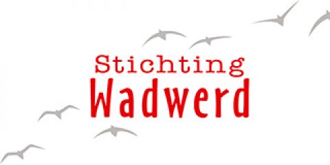 Stichting Wadwerd